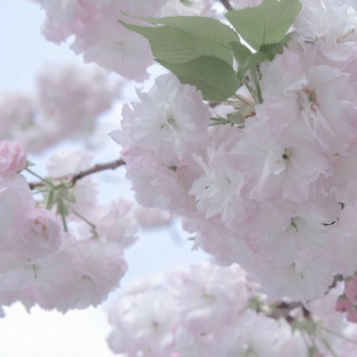 铜陵福瑞交流群